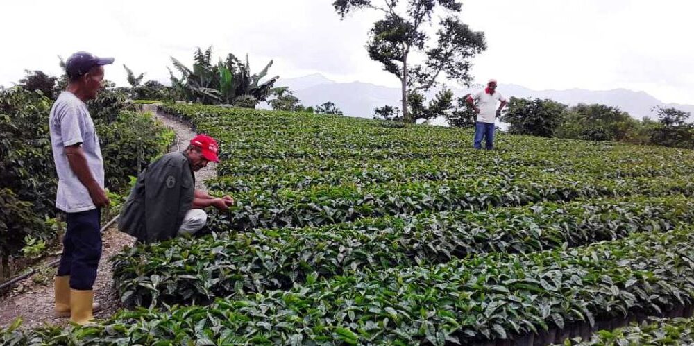 - 23 06 23 productores agricolas 1024x499 1