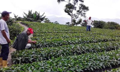 - 23 06 23 productores agricolas 1024x499 1