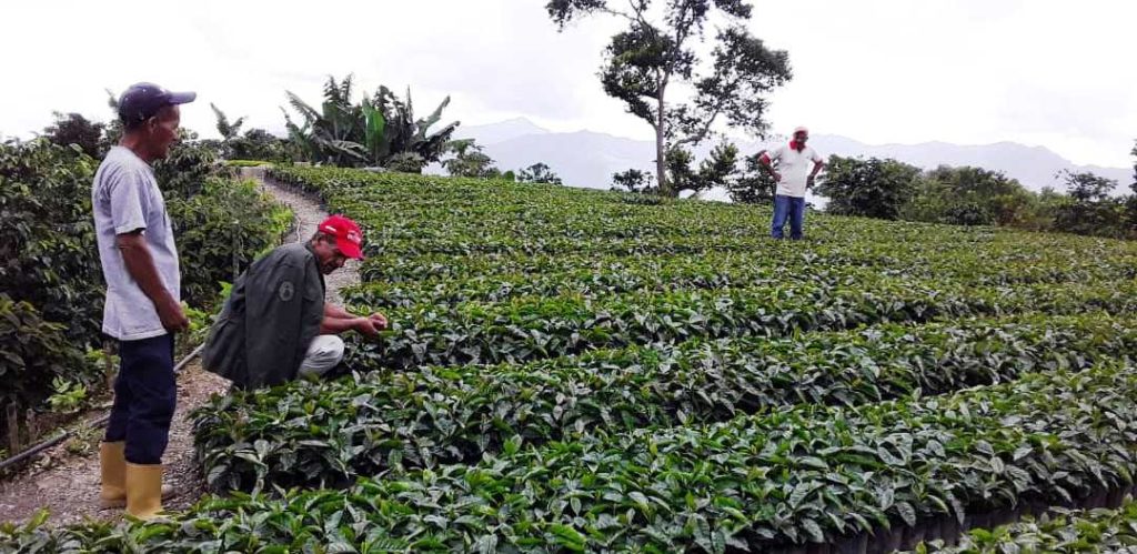 - 23 06 23 productores agricolas 1024x499 1