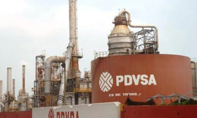 - el palito 1