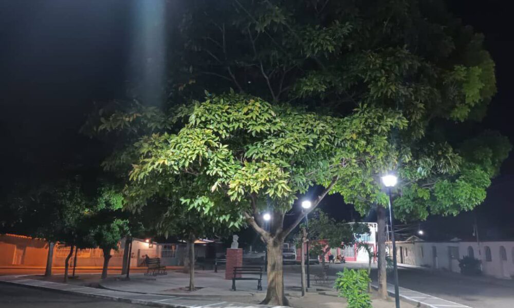 - photo1688046844 1