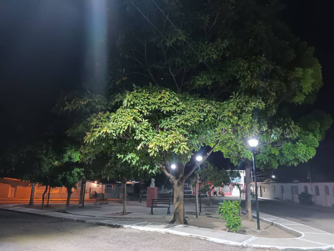- photo1688046844 1