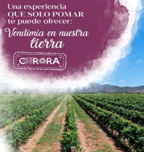 - Vendimia agosto 2023 7 cierre galeria