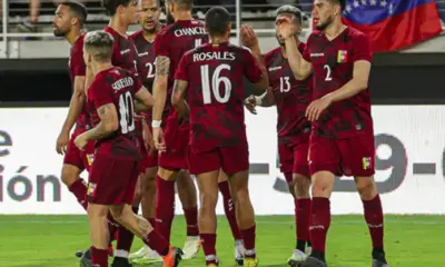 - Vinotinto