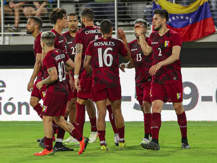 - Vinotinto