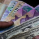 - bolivares dolares
