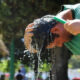 - ola de calor mundo fotor 2023071995919