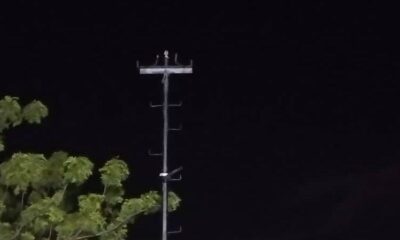 - photo1689083796 1