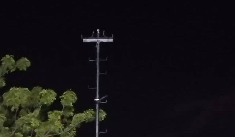- photo1689083796 1