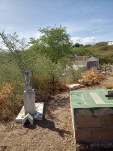 - photo1690319494 2