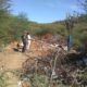- photo1690319494