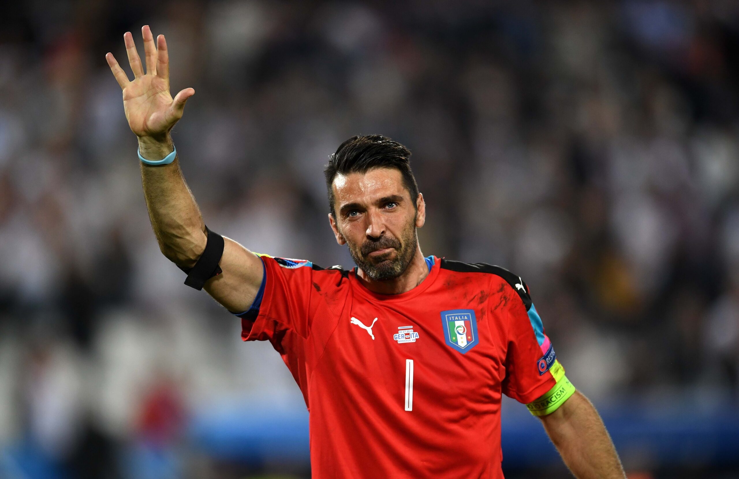 - Buffon scaled 1