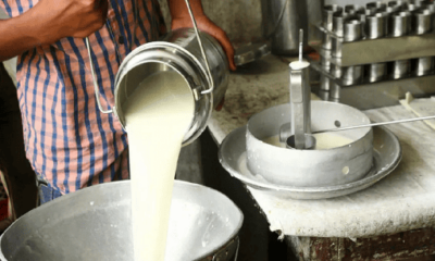 - Solo procesan 10 de leche en el pais por falta de combustible