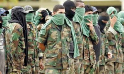 - clan del golfo
