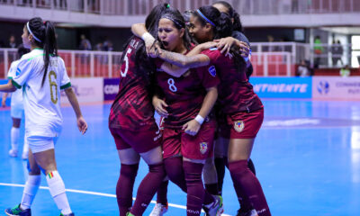 - Vinotinto 1 3