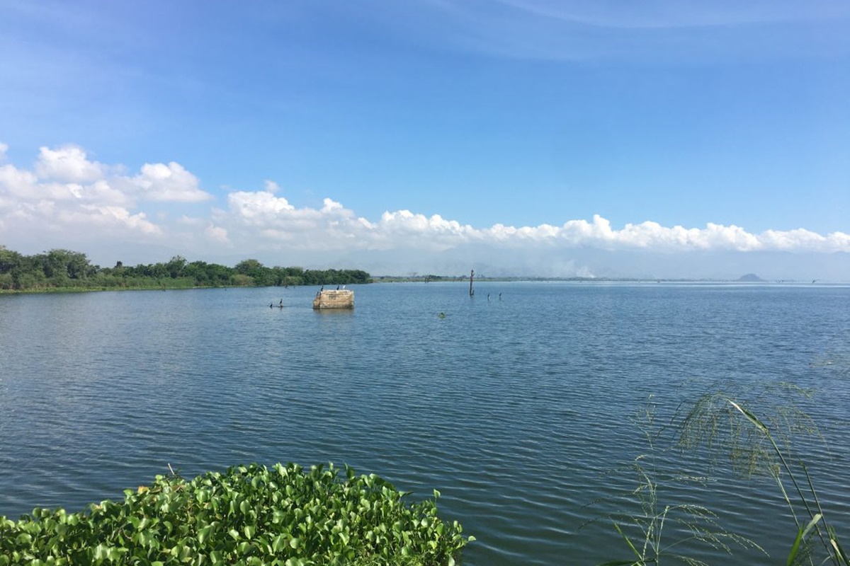 - lago de valencia