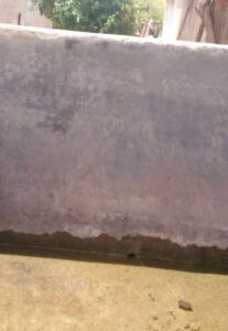 - photo1694527072 1