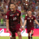 - Vinotinto