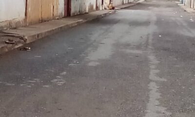 - photo1696535053