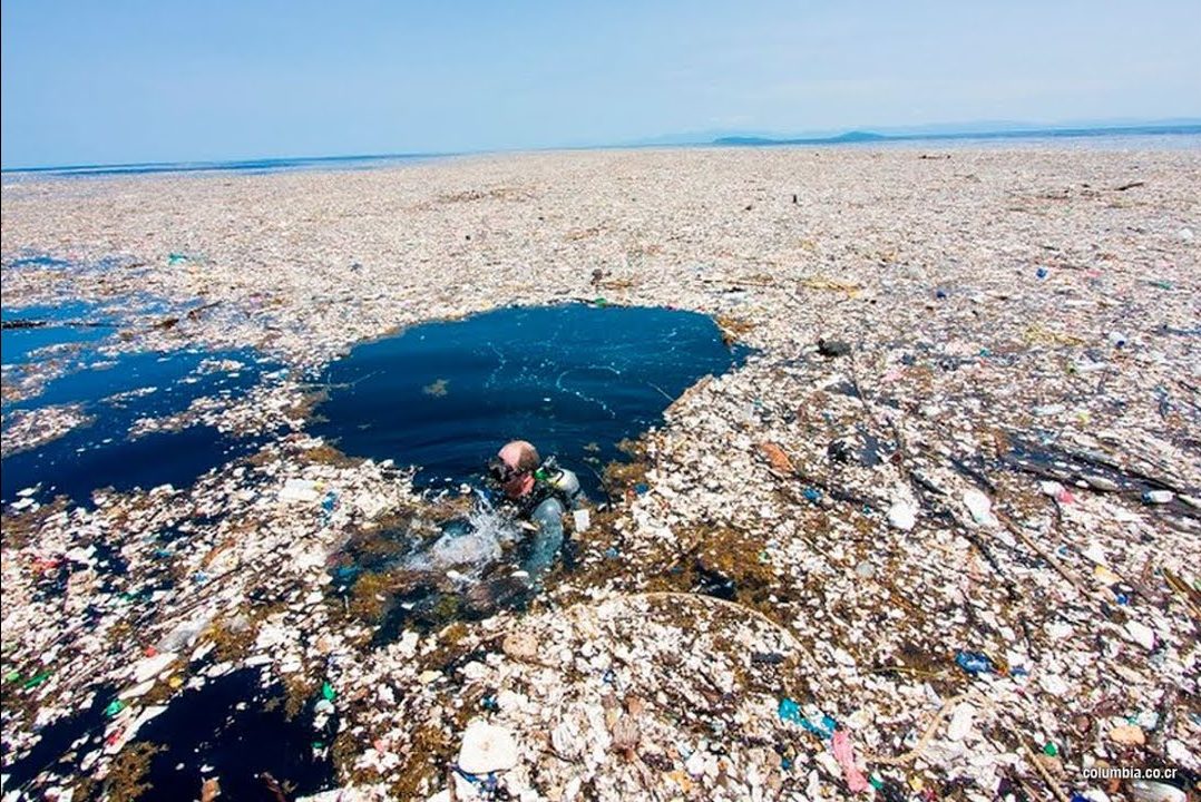 - Mar Basura Aditivos