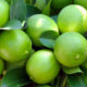 - limonmexicano