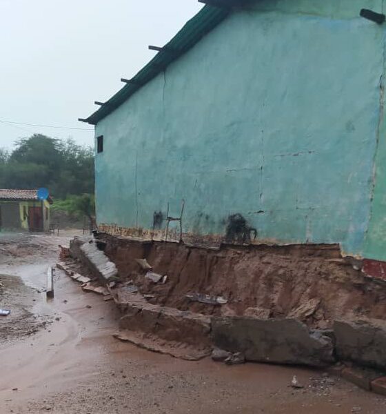 - photo1698871261 3