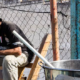 - ALIMENTACION VENEZUELA