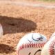 - LVBP pelotas 700x352 1
