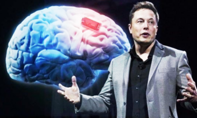 - NEURALINK ELON MUSK