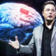 - NEURALINK ELON MUSK