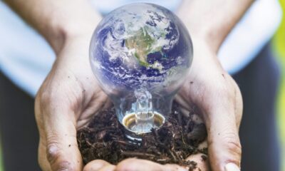 - concept hands holding earth bulb 683x1024 1