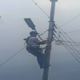 - corpoelec fotor 202404011579