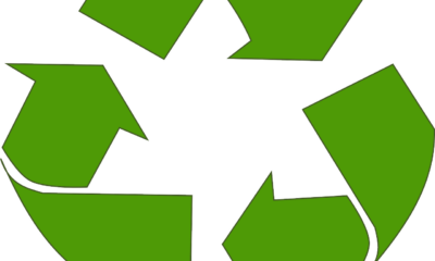 - pixabay sostenibilidad
