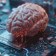- Cerebro