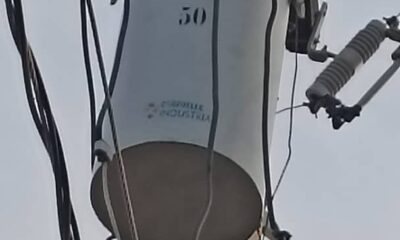 - photo1714675803