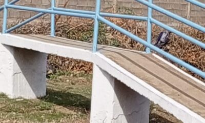 - photo1718201220