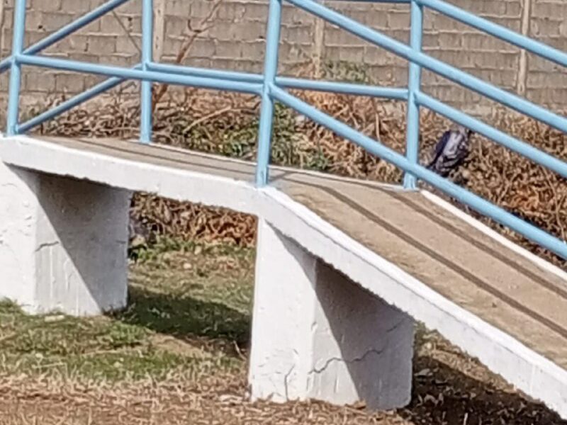 - photo1718201220