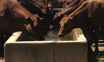 - IMG 20250822 WA0001